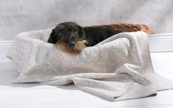 Hundedecke aus Baumwolle mit Namen