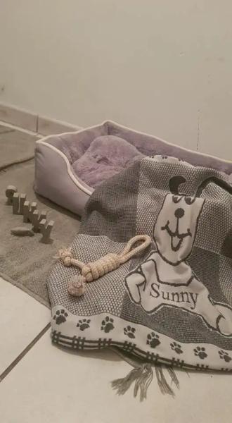 Dog Blanket BONE